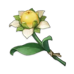 Sweet Flower