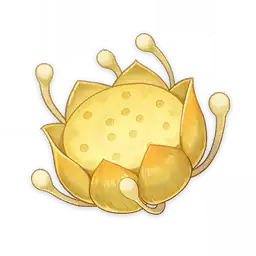 月蓮