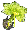 滋长花蜜