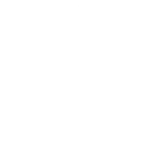 Corporation pour la Paix Interastrale