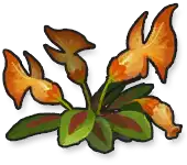 Snapdragon