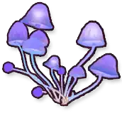 Firefly Mushroom