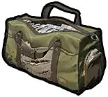 Bag of Cash