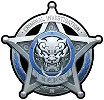 Public Security: Criminal Investigation Special Response Team
